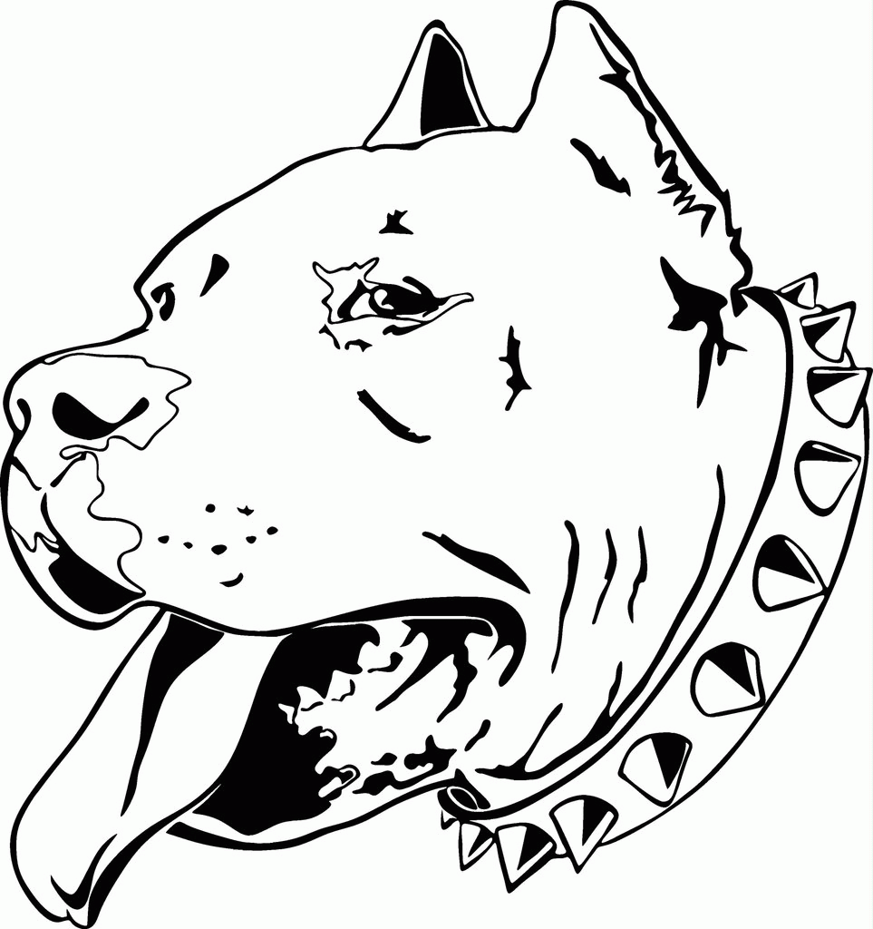 Pitbull Coloring Pages - Widetheme