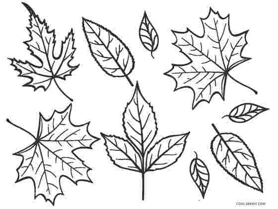 coloring pages of autumn trees bare fall tree coloring page ...