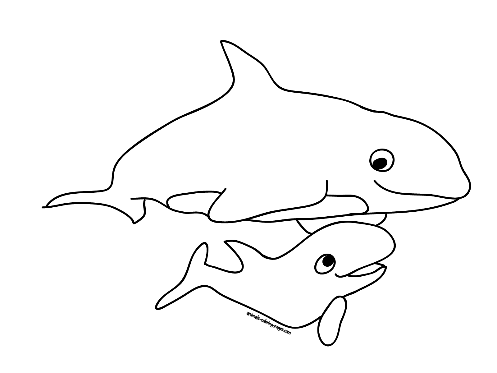 Orca Whale Coloring Page - Coloring Home
