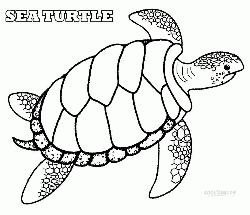 Coloring Pages Sea Turtle Printables - Coloring Home