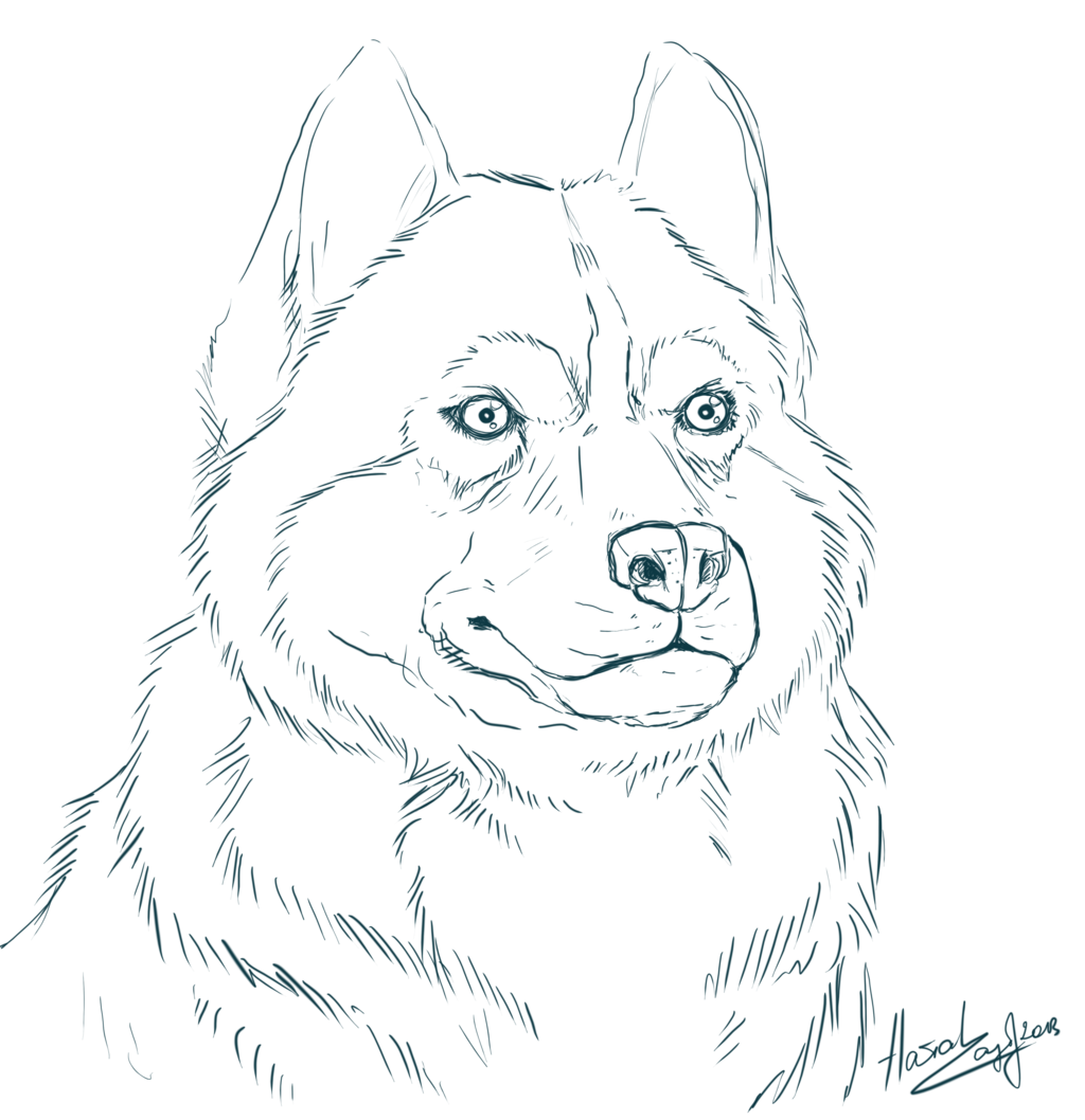 Husky Coloring Page Coloring Home