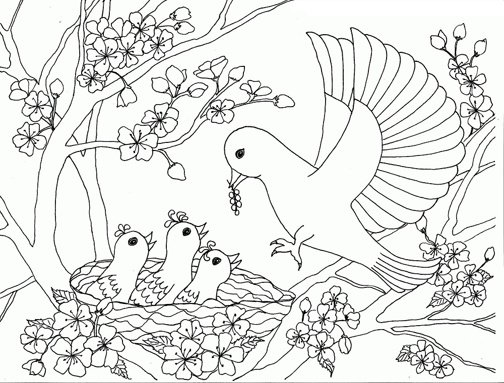 Birds Family On The Cherry Blossom Tree Coloring Page - Free ...