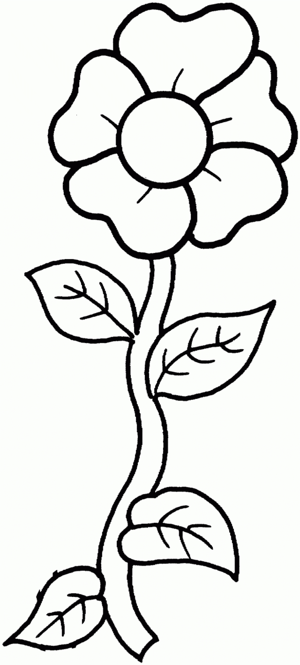 Images Flower Coloring Pages For Girls 10 And Up Flower Coloring ...