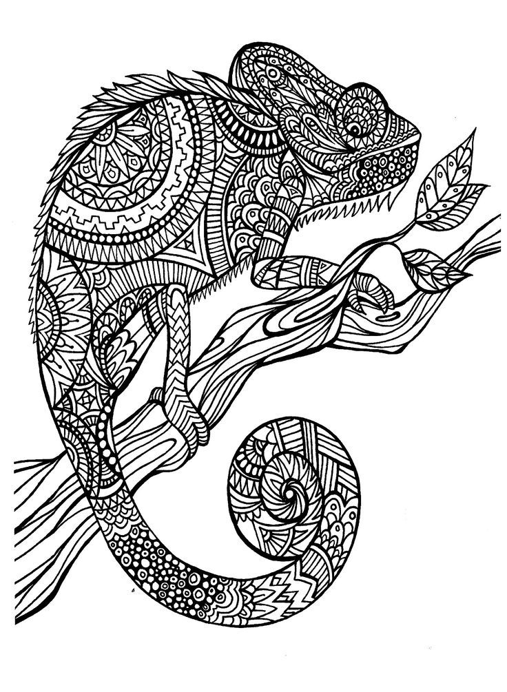Animal Design Coloring Pages - Coloring Home