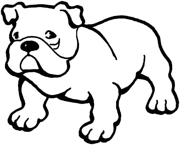 Little Bulldog Coloring Pages: Little Bulldog Coloring Pages ...