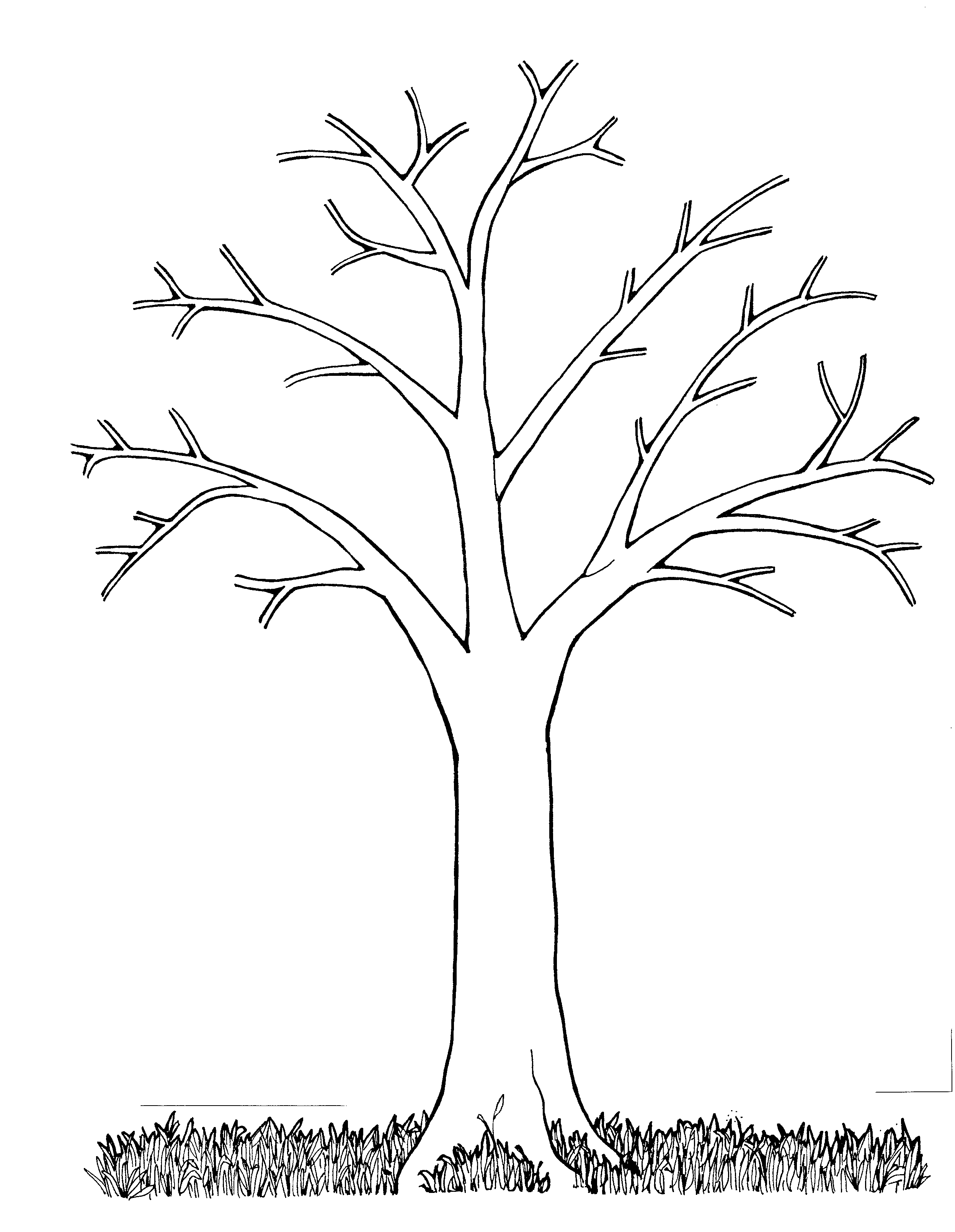 Printable Tree Template Coloring Home
