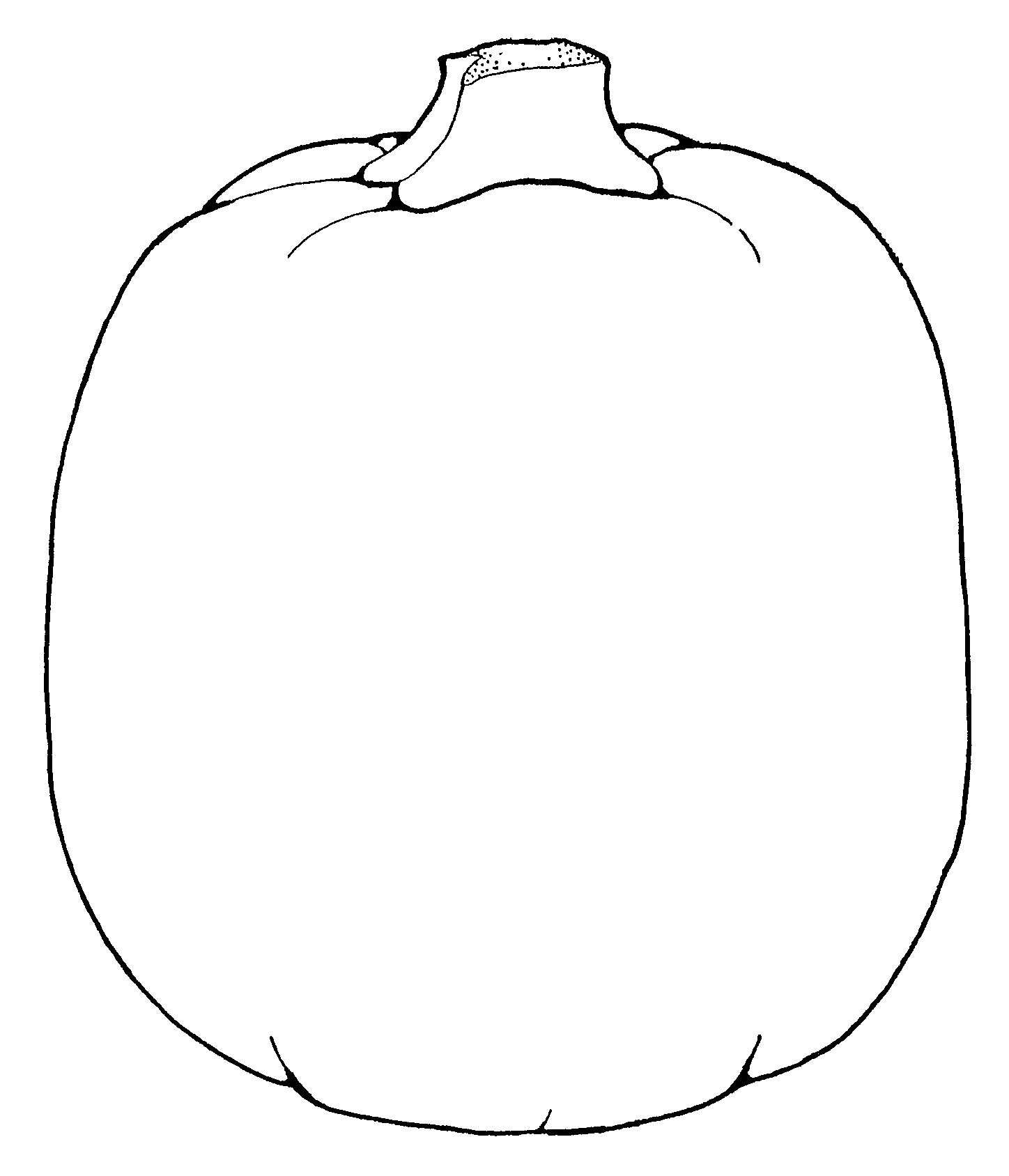 Pumpkin Outline Drawing HalloweenFunky com Coloring Home