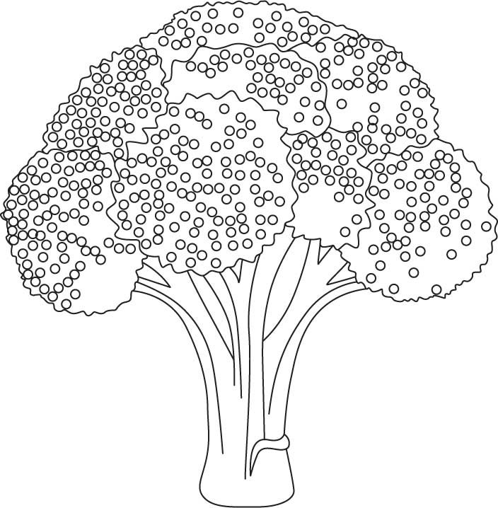 Brocolli Coloring Pages - Coloring Pages For All Ages