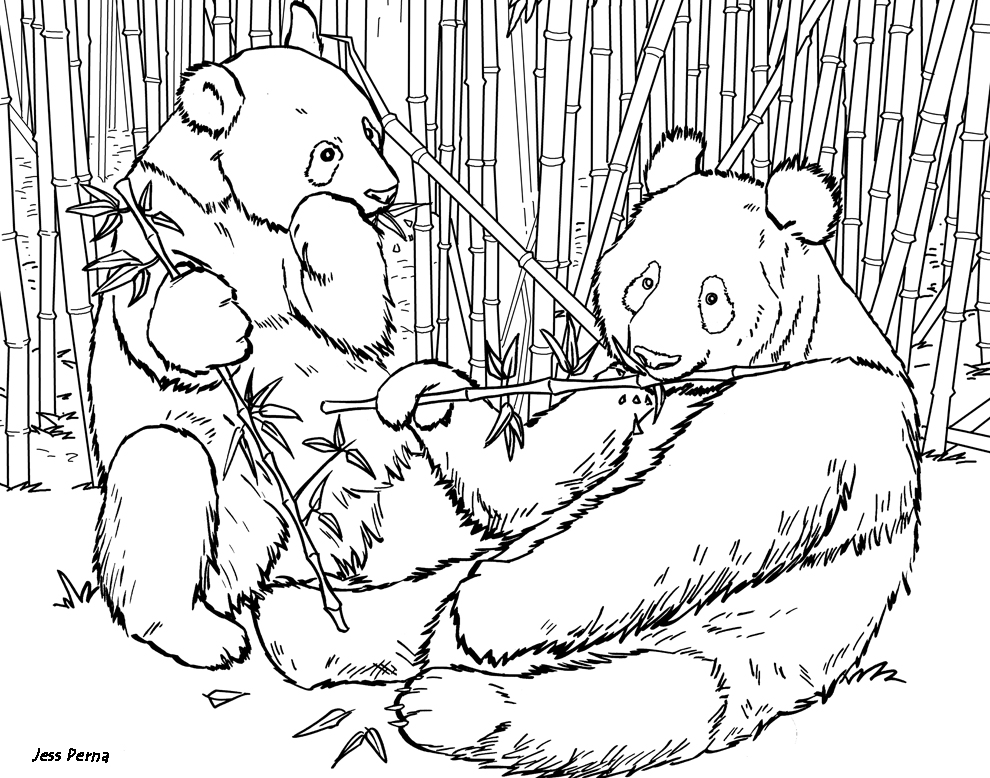 Panda Coloring Page (17 Pictures) - Colorine.net | 9266