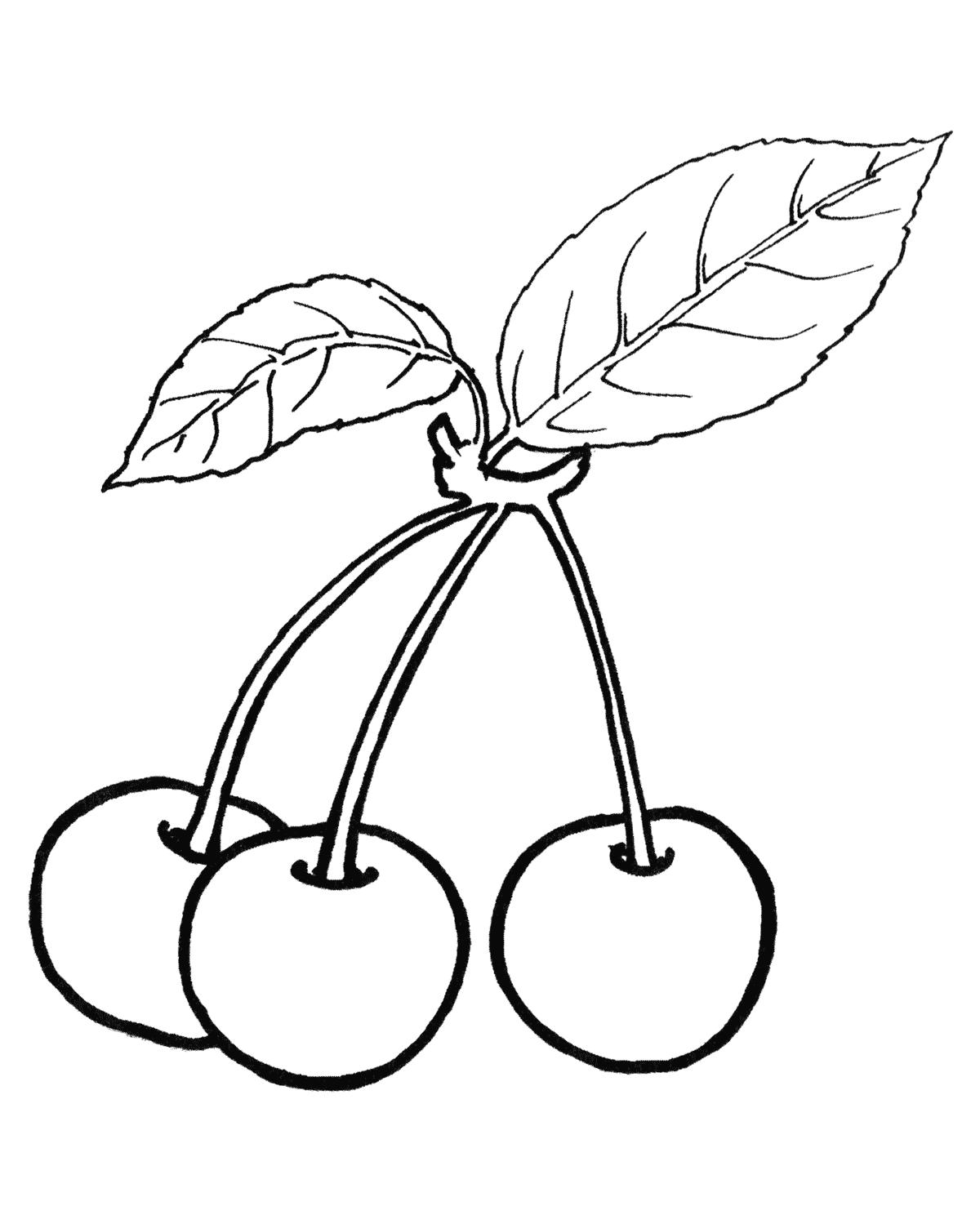 Coloring page - Cherries