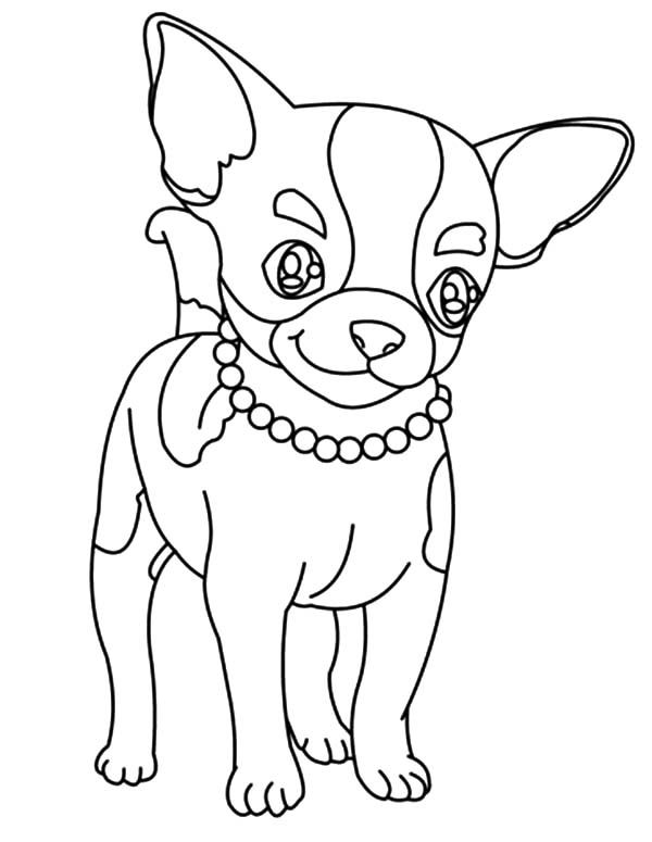 Beautiful Necklace Chihuahua Dog Coloring Page - Clip Art Library