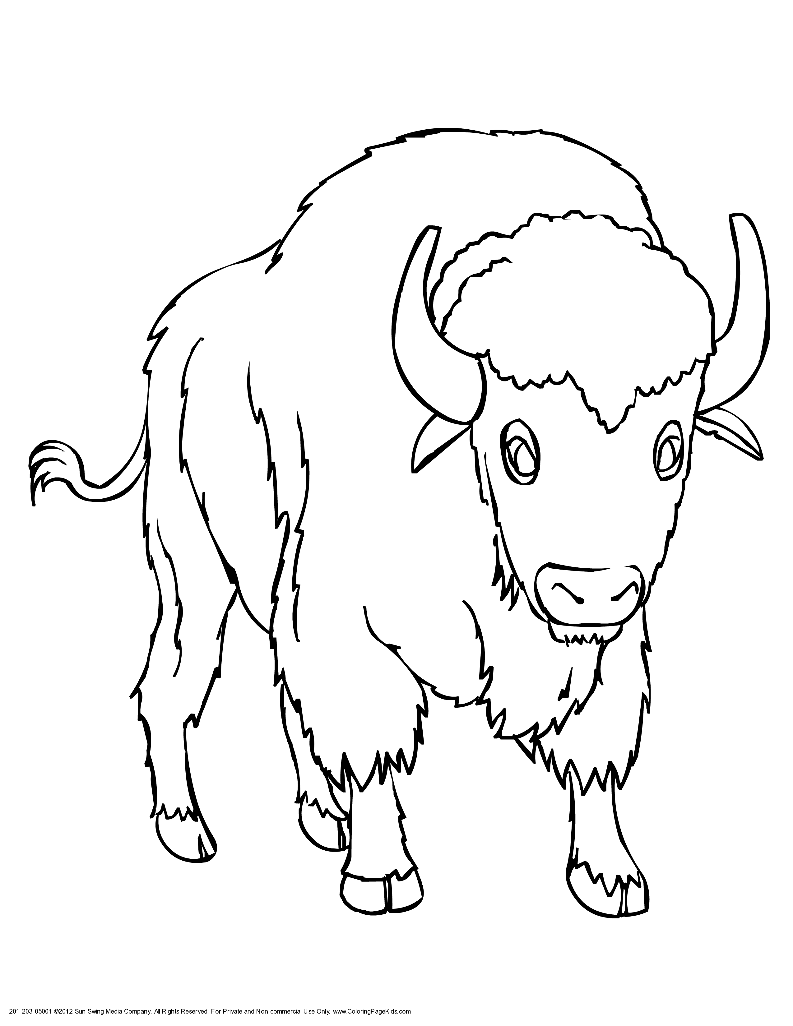 A Bison or Buffalo Coloring Page