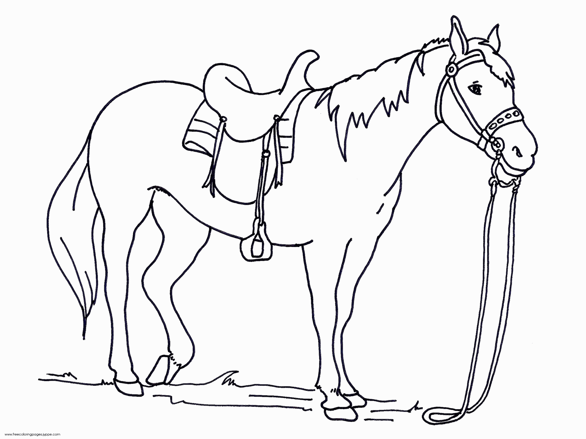 Horse Racing Printable Coloring Page - Coloring