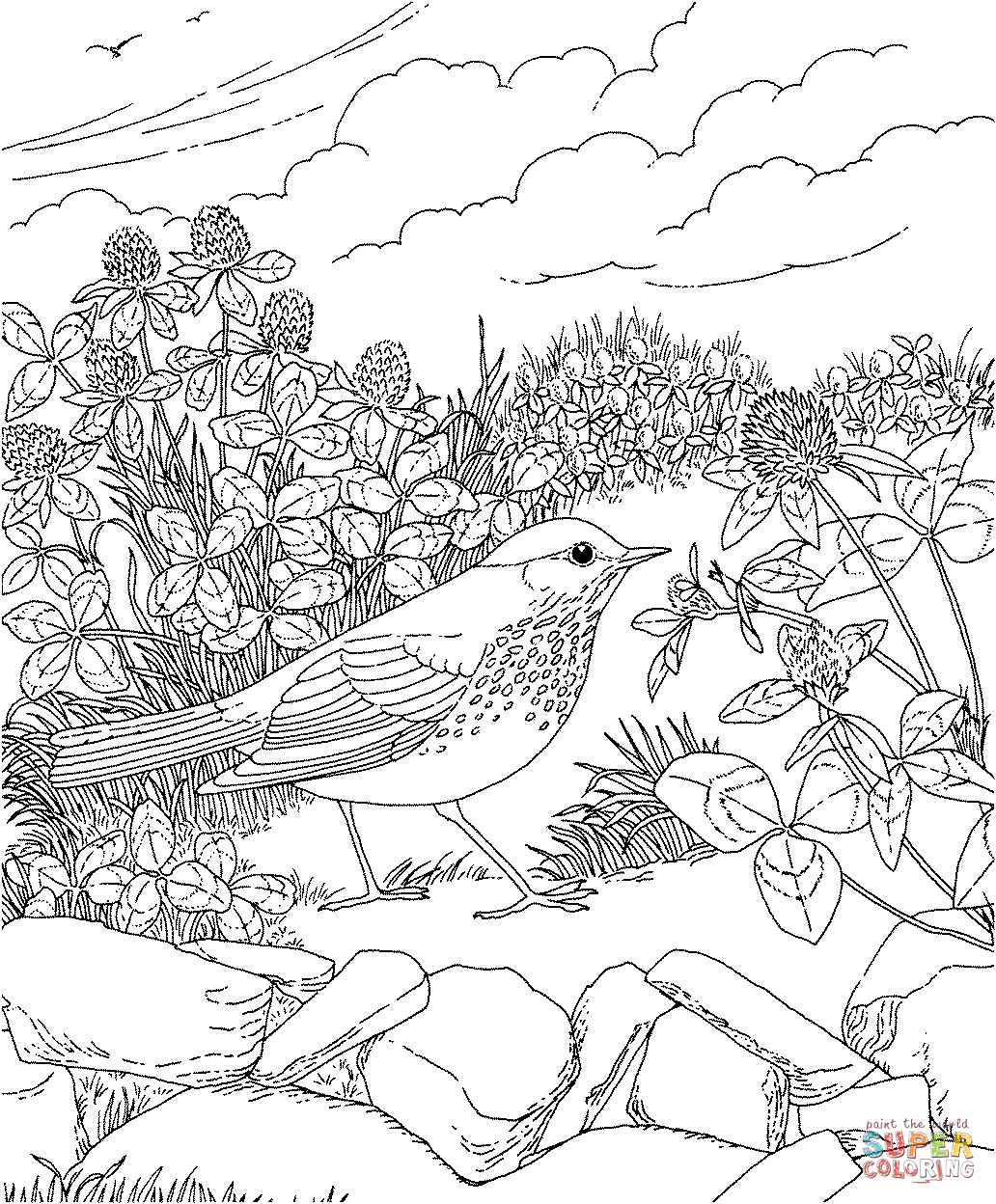 Coloring Pages Of Forest - Coloring Home