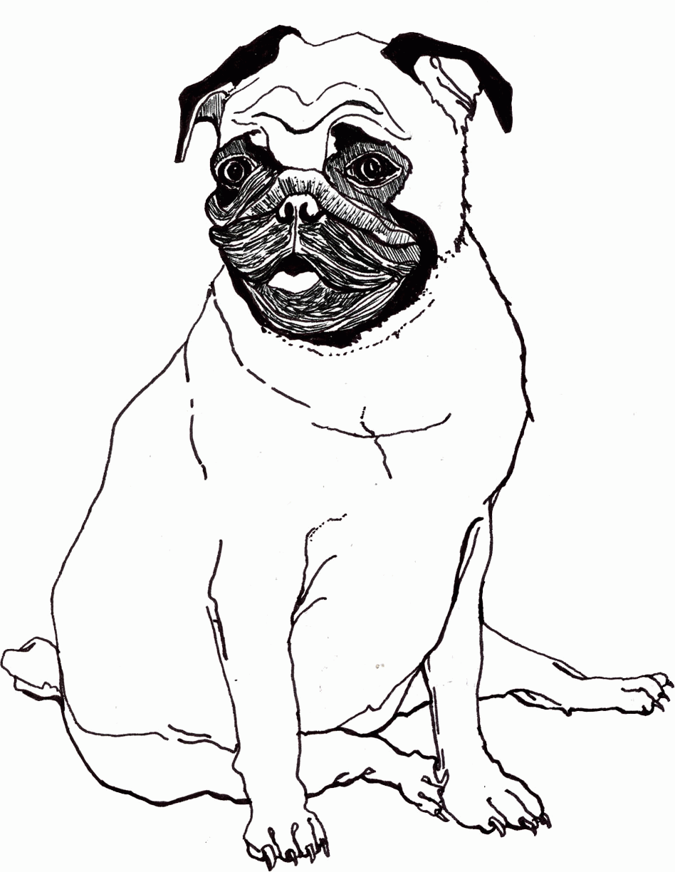 Printable Coloring Pages Of Pugs - Coloring Page