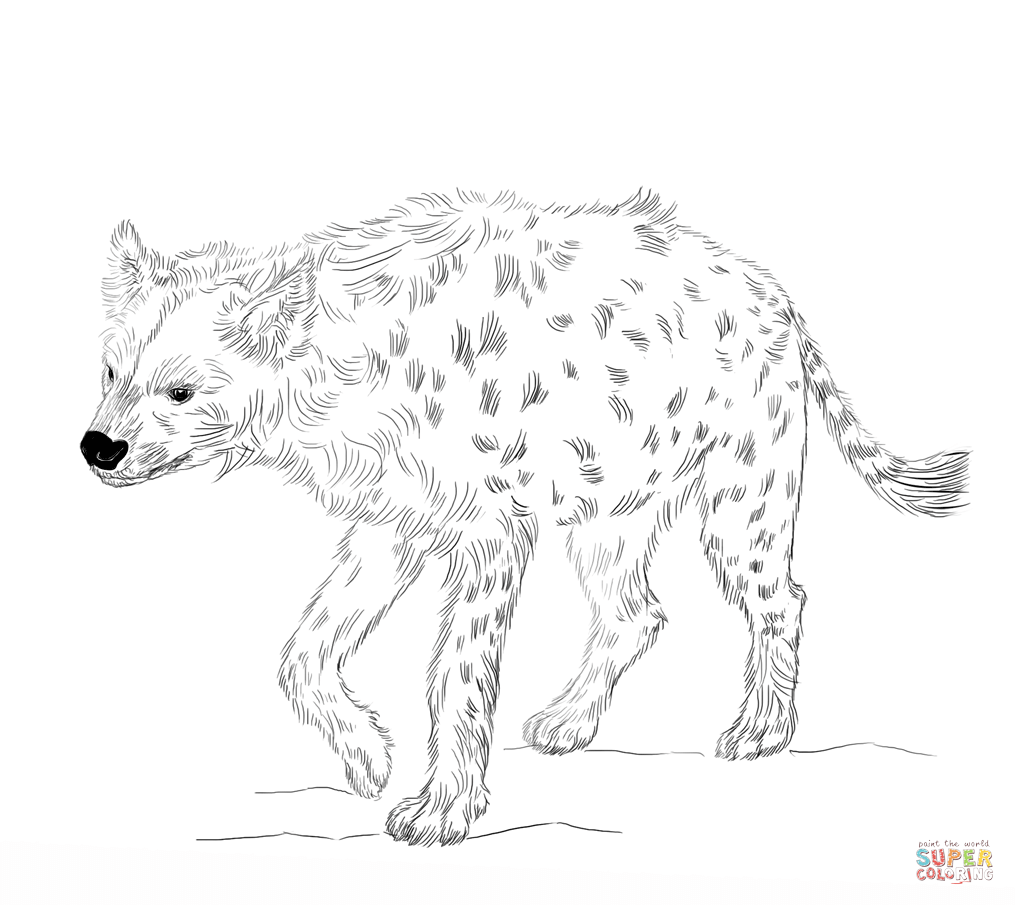 Laughing Hyena Coloring Pages - Coloring Home