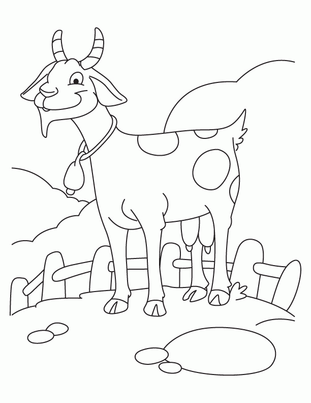 Cute Goat Coloring Pages - Coloring Home