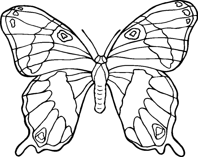 Coloring Pictures Of Flowers And Butterflies - Beautiful Flowers
