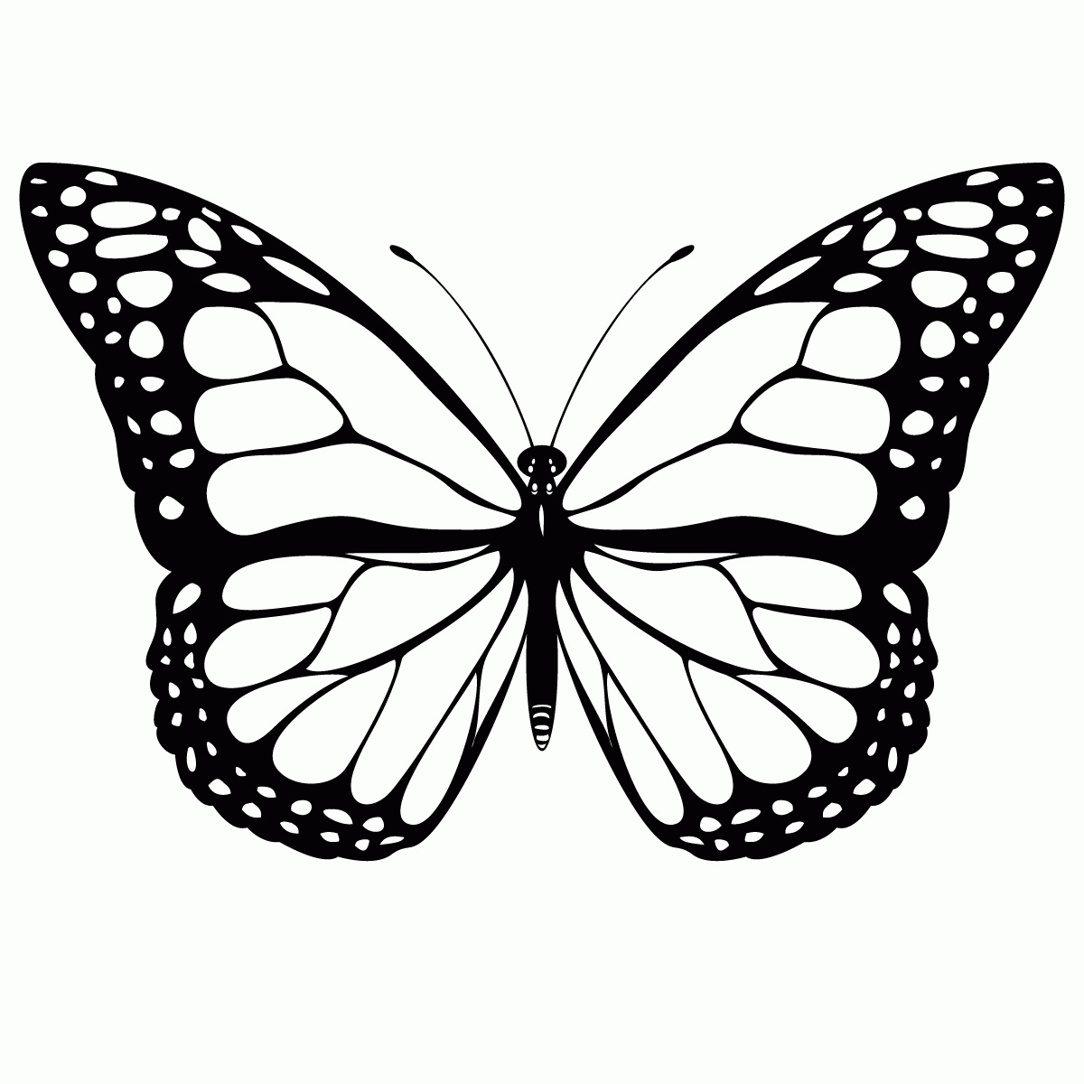 Butterfly Coloring Pages Printable | lugudvrlistscom