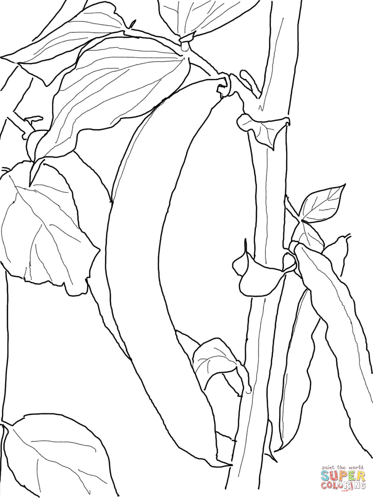 Green Bean coloring page | Free Printable Coloring Pages