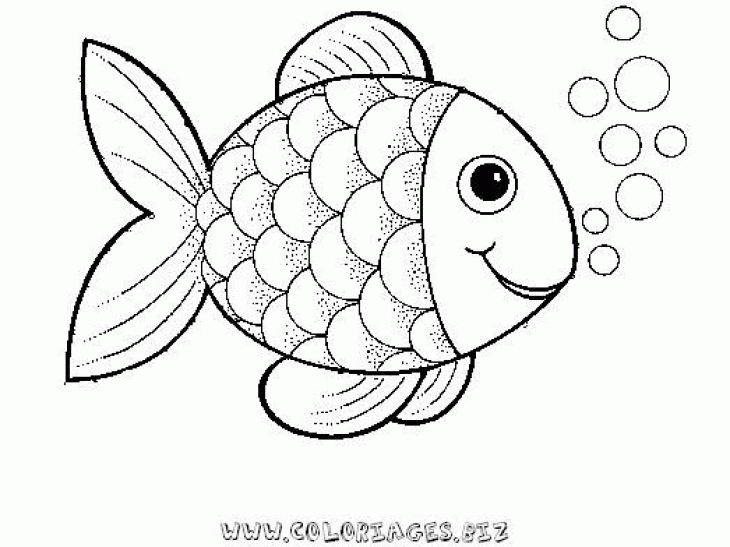 rainbow-fish-outline-coloring-home
