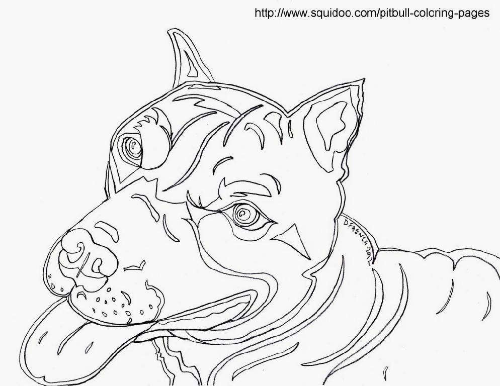 Pitbull Coloring Pages (13 Pictures) - Colorine.net | 13753