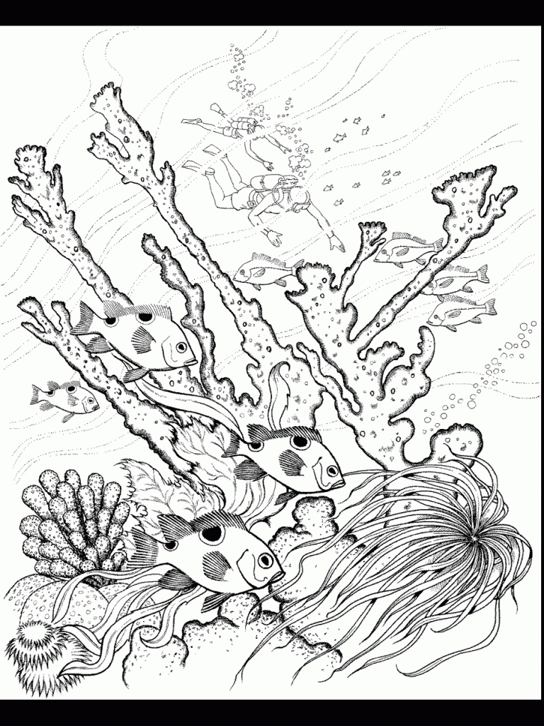 Coloring Pages For Adults Ocean - Free coloring pages