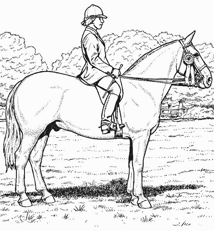 Free Printable Realistic Horse Coloring Pages - Coloring Home