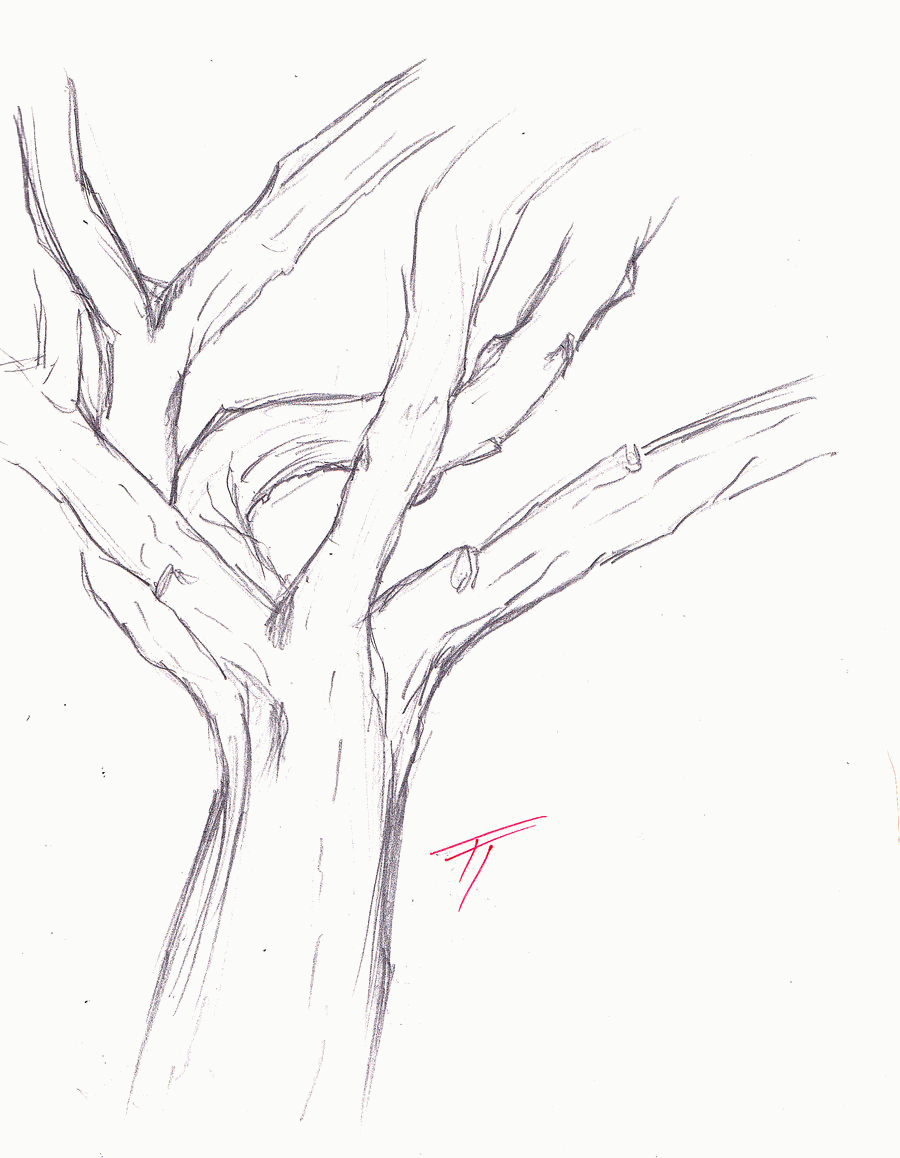 Best Photos of Tree Trunk Coloring Page - Tree with Leaves ...