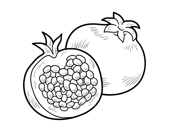 A pomegranate coloring page - Coloringcrew.com
