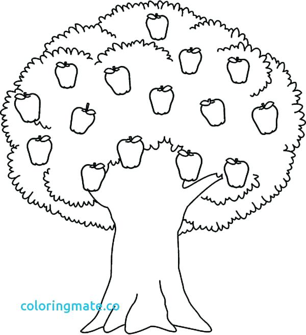 Fall Tree Coloring Pages at GetDrawings | Free download
