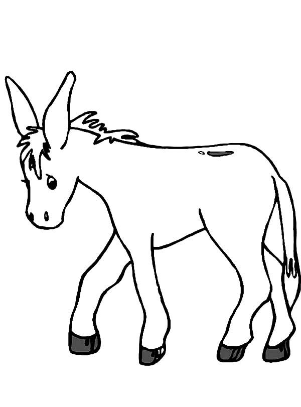 How to Draw Donkey Coloring Pages - Free & Printable Coloring ...