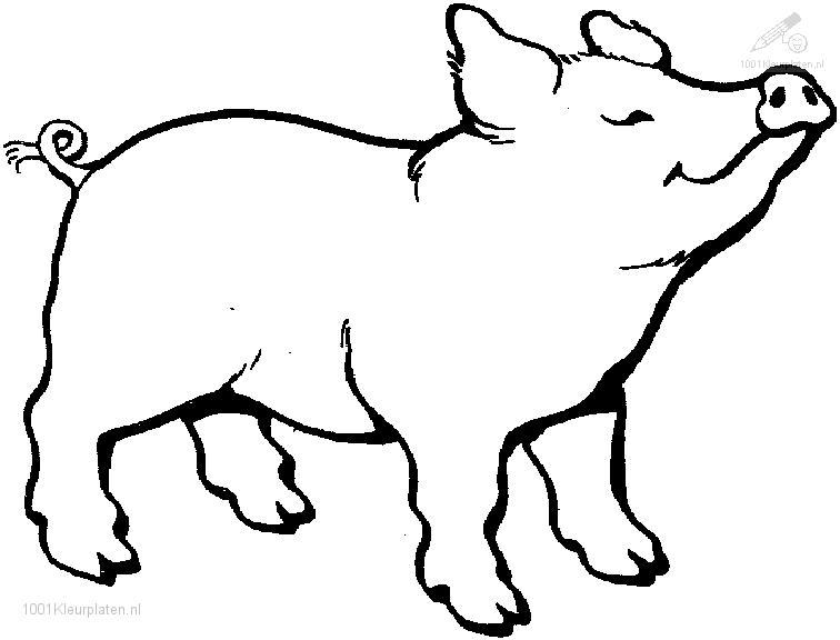 Big Pig Coloring Pages | Kids Coloring Pages | Pinterest ...