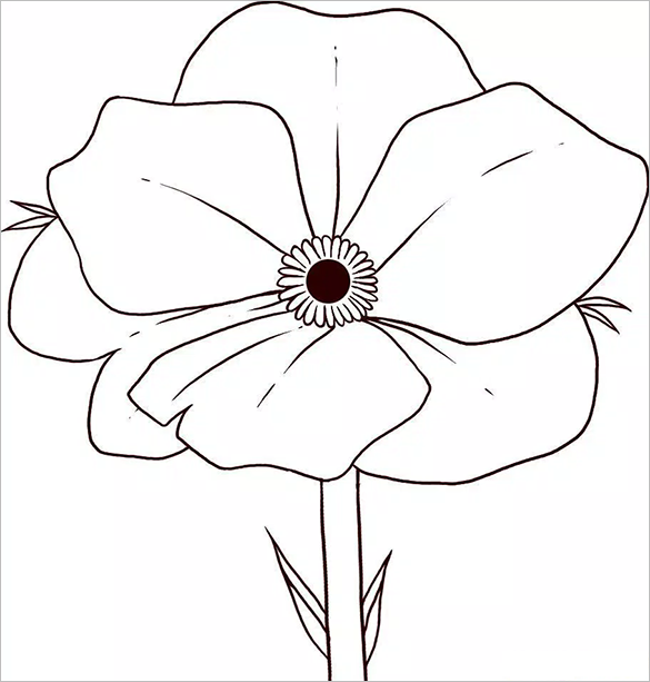 Remembrance Day Poppy Coloring Page - Coloring Home
