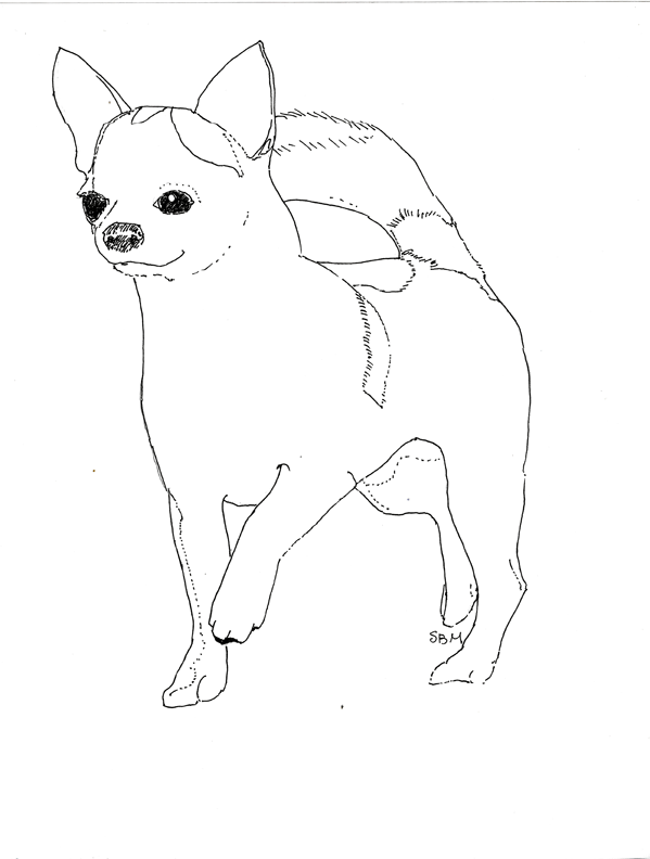 Chihuahua Coloring Page - Coloring Home