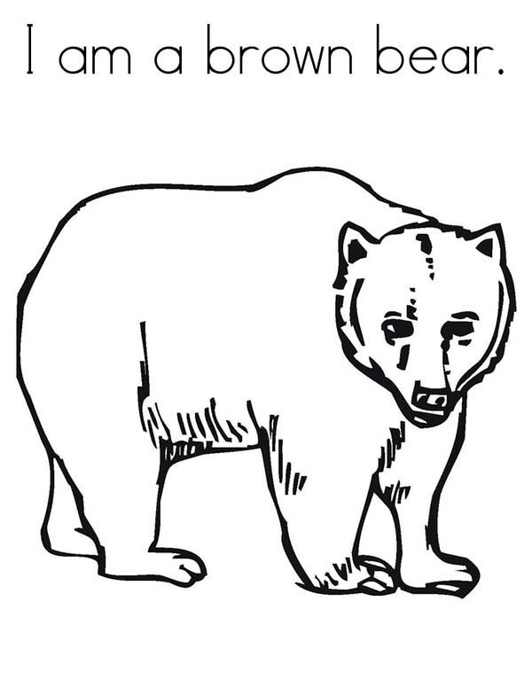 Brown Bear Printables Coloring Home