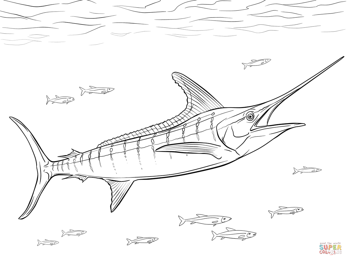 Marlin coloring pages | Free Coloring Pages