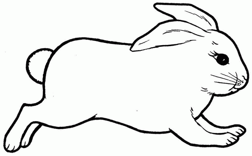 Jumping Rabbit Colouring Pages (page 3)