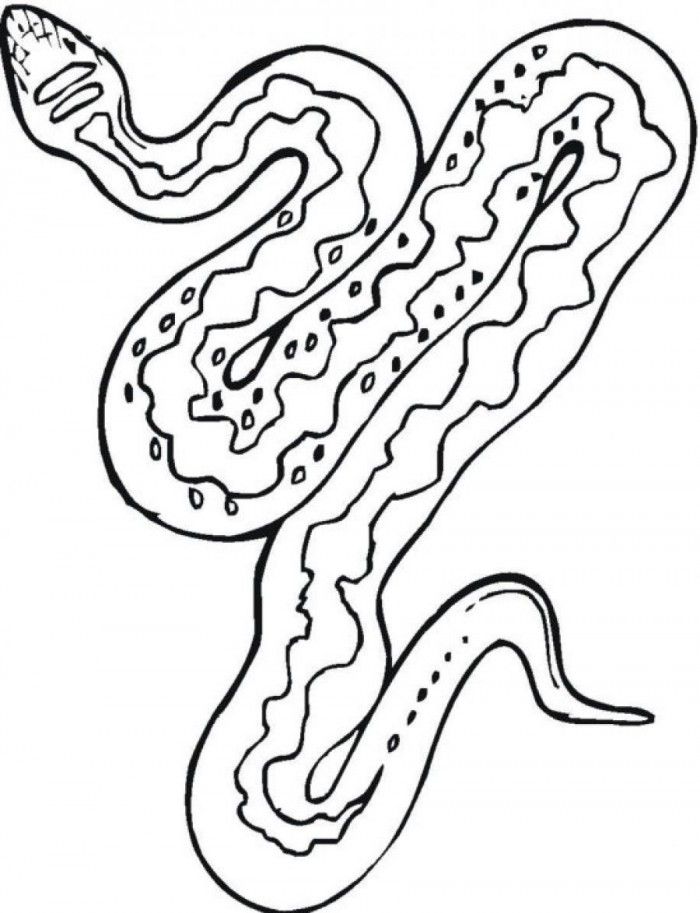 Corn Snake Coloring Pages Coloring Home