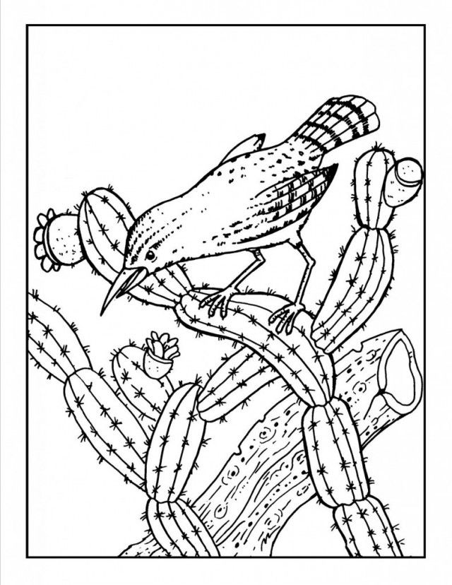 Cactus Coloring Sheet - Coloring Home