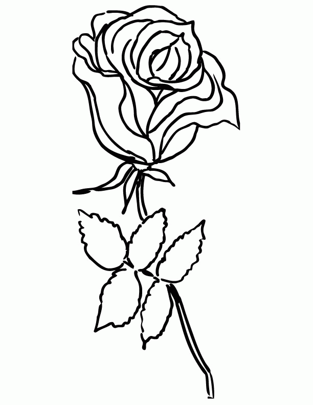 rose printable coloring pages | Coloring Pages