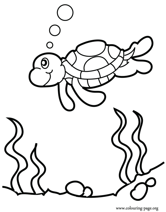 Sea Animals Coloring Pages For Kids - Coloring Home