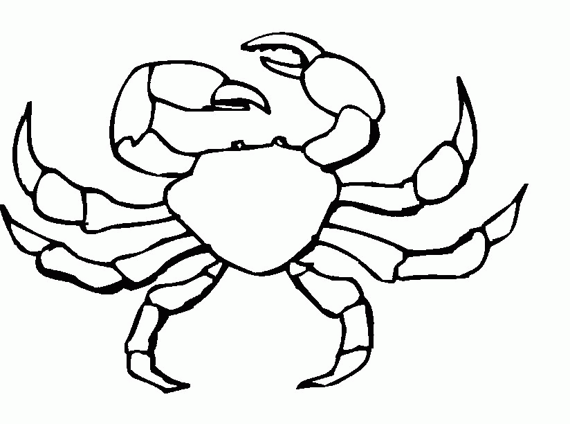 Hermit Crab Coloring Page Coloring Home