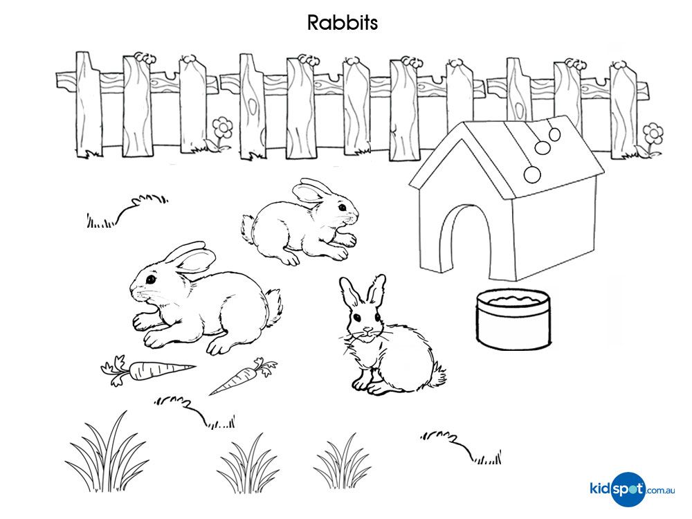 Coloring Page Rabbit And Burrow Coloring Pages