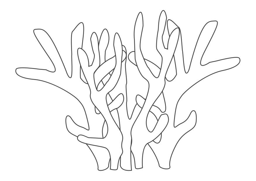 Coloring page coral - img 26396.