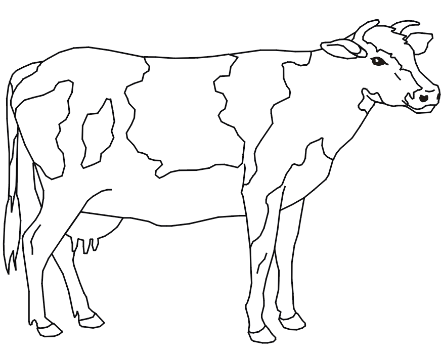 Cute Cow Coloring Pages | Animal Coloring Pages | Kids Coloring 