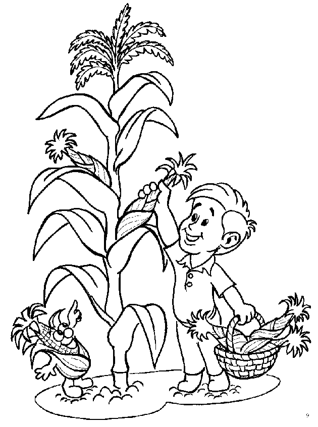corn plant coloring page - Google Search | Ideas for Teachers | Pinte…