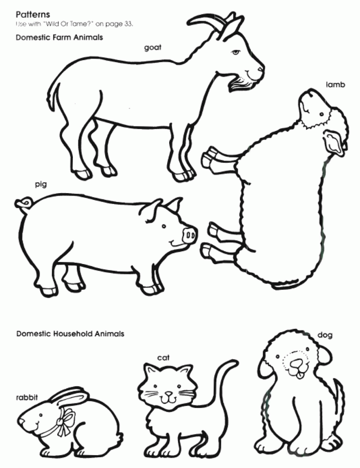 Animal Outline Pictures | Traceable Pictures/Designs/Ect
