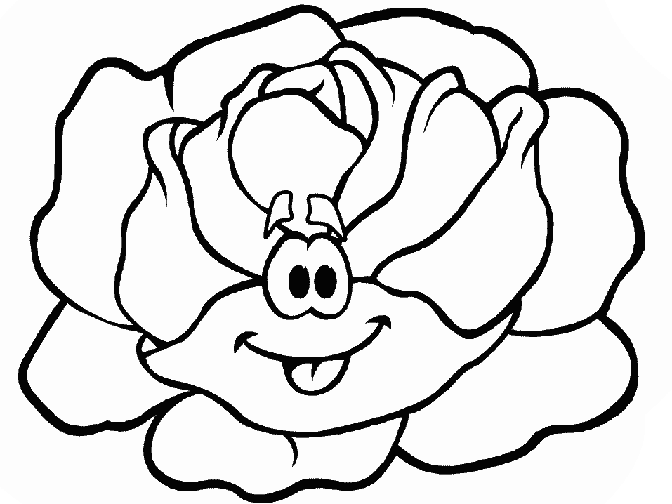 Free coloring page lettuce.gif | Coloring-