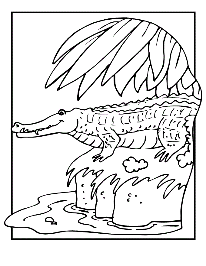 Crocodile Coloring Page - Coloring Home